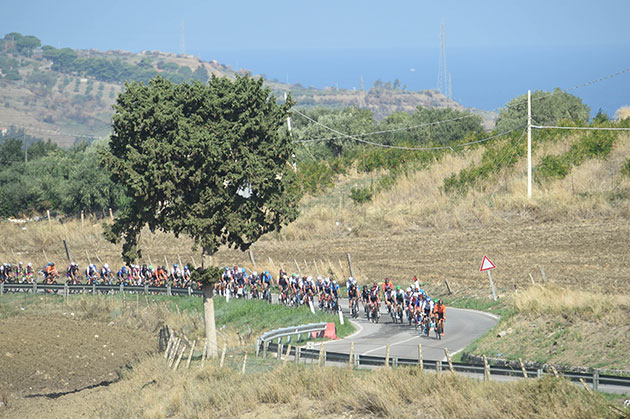 Peloton